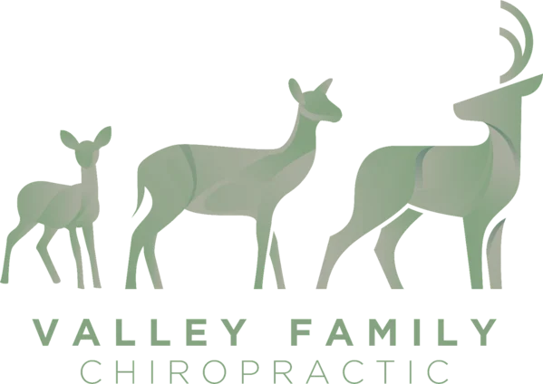 Valley Family Chiropractic